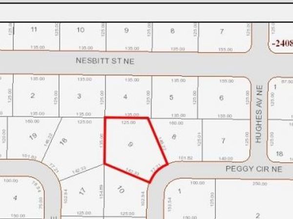 335 NE PEGGY CIRCLE NE, PALM BAY, FL 32907