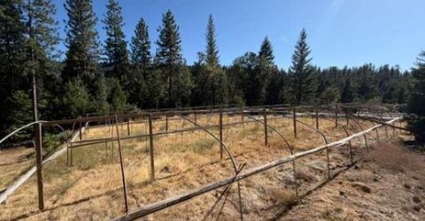 Last Chance Mine Rd, Nevada City, CA 95959 Photo
