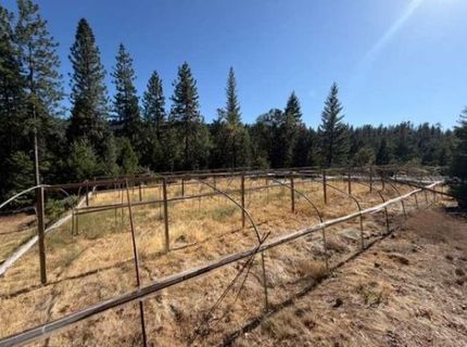 Last Chance Mine Rd, Nevada City, CA 95959 Photo
