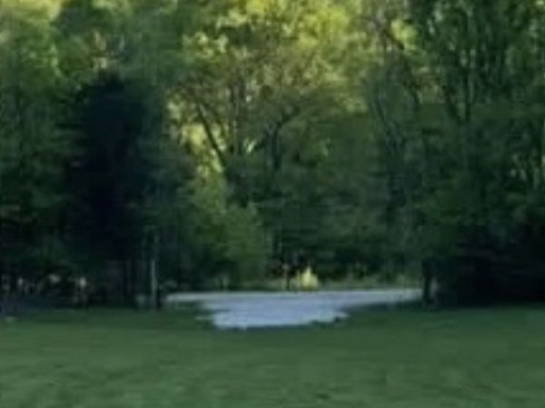 1156 Case Rd , Prospect, TN 38477