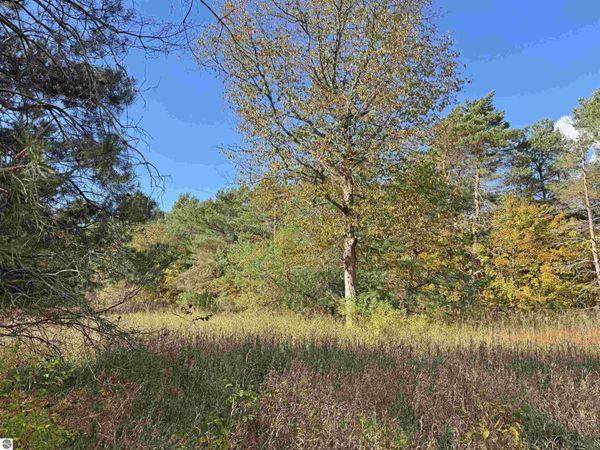 14 Brownell Road, Beulah, MI 49617