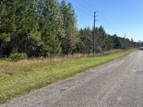 815 County Rd 473, Woodland, AL 36280
