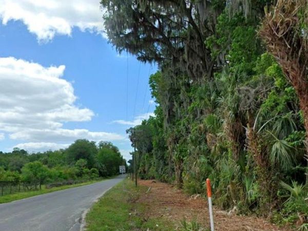 TBD NE 170TH STREET , CITRA, FL 32113