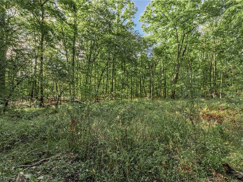 8165 Chagrin Mills Road, Chagrin Falls, OH 44022 Photo 42