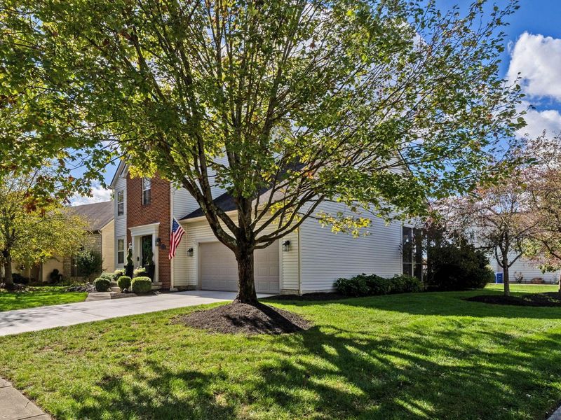 6777 Bethany Drive, Westerville, OH 43081 Photo 3