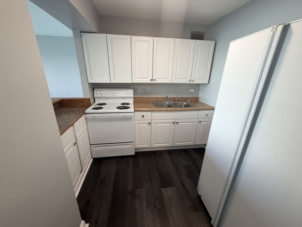 7337 S South Shore Drive , Unit 1109, Chicago, IL 60649