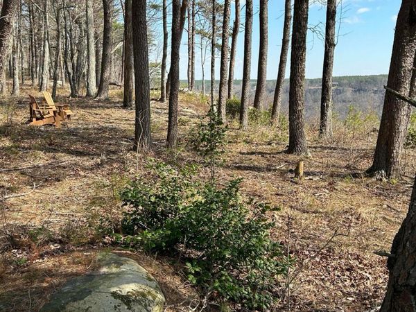 3965 Crockett Point, Jasper, TN 37347