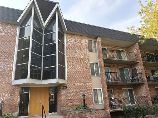 1001 N Mill Street , Unit 307, Naperville, IL 60563
