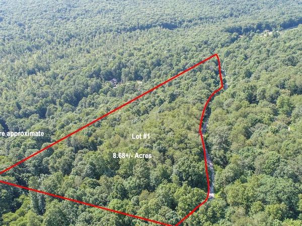 Lot 1 BETTS LANE, OAKLAND, MD 21550