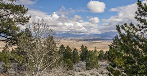 220 Sheridan Creek Court, Gardnerville, NV 89460 Photo