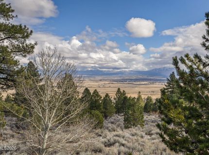 220 Sheridan Creek Court, Gardnerville, NV 89460 Photo