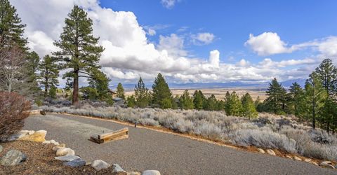 220 Sheridan Creek Court, Gardnerville, NV 89460 Photo