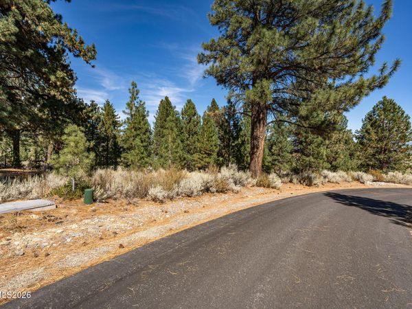 900 Stutler Creek Court, Gardnerville, NV 89460