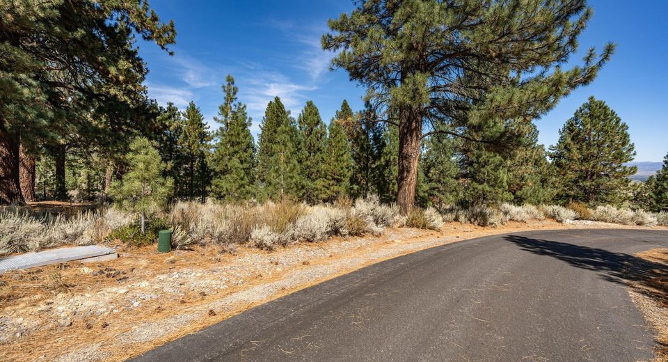 900 Stutler Creek Court, Gardnerville, NV 89460 Photo