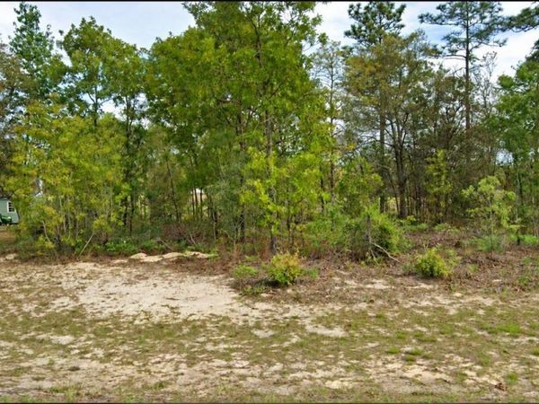 2507 W WILMINGTON LOOP , CITRUS SPRINGS, FL 34434