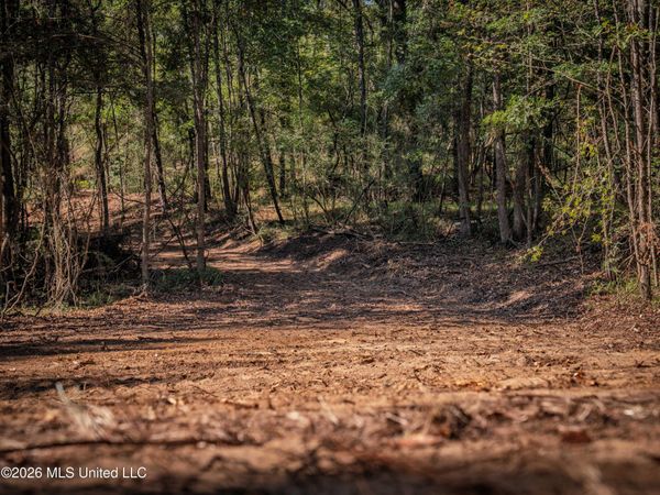 Billy Fields Rd, Edwards, MS 39066