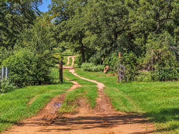1208 Jeddo RD, Rosanky, TX 78953