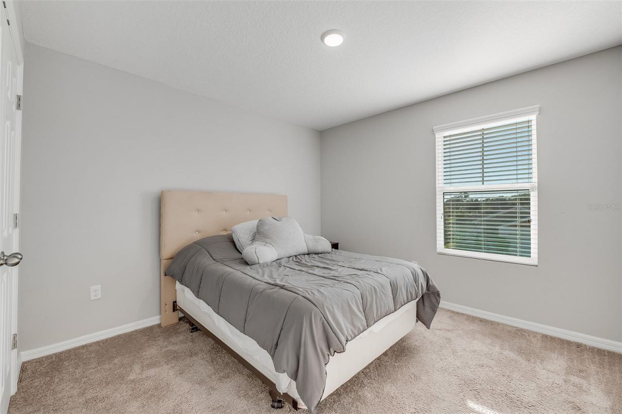 12625 Tannencrest Drive , Riverview, FL 33579 Photo