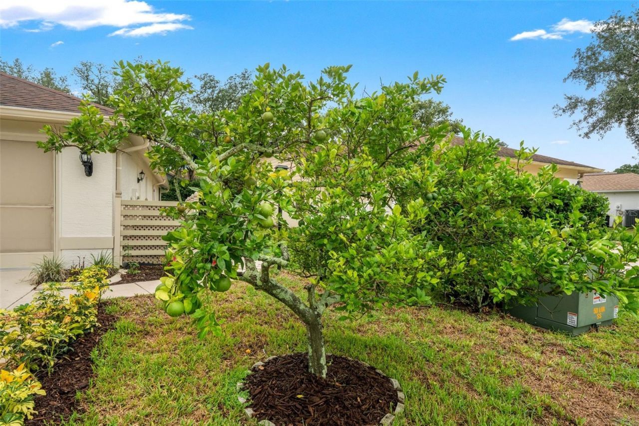 7350 Rosemont Lane , Spring Hill, FL 34606 Photo