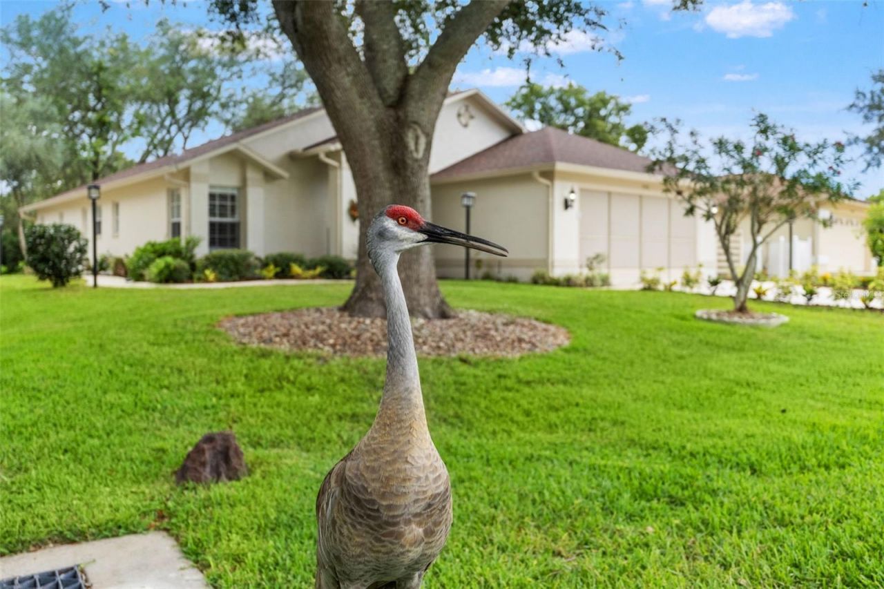 7350 Rosemont Lane , Spring Hill, FL 34606 Photo