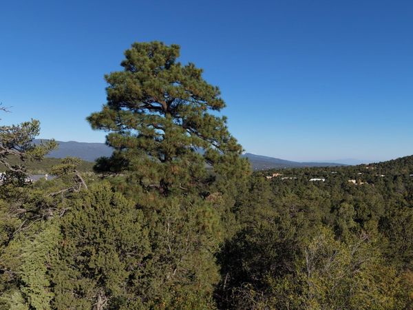 6 Los Pecos Loop , Tijeras, NM 87059