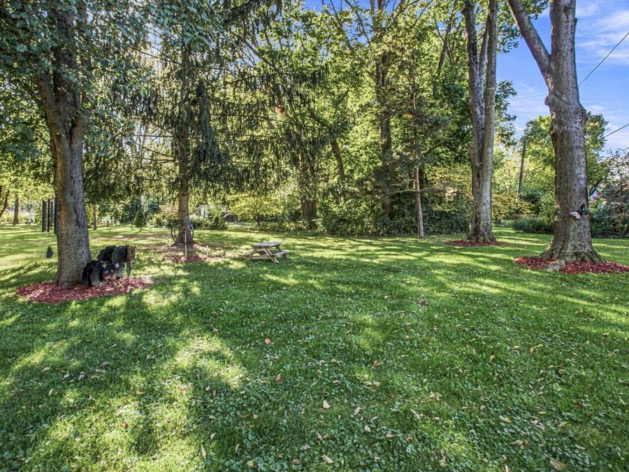 Property Image 59