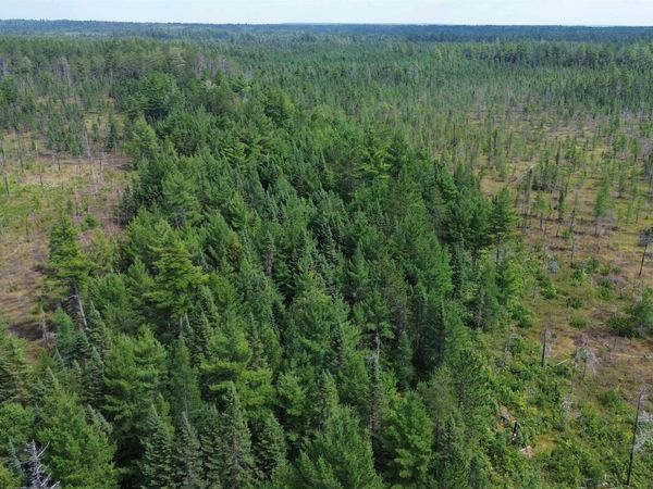 9040 Bone Lake Route, McMillan Twp, MI 49868