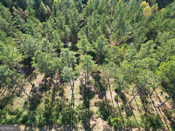 0 Lacey Springs Lane, Unit 65, Ellijay, GA 30540