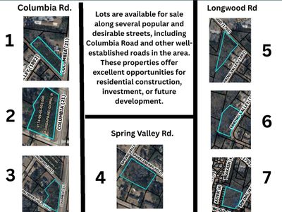 18.33 Ac Columbia Road, Orangeburg, SC 29115
