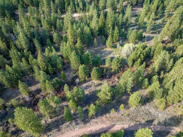 Lot 31 Trail Creek Ct, Placerville, ID 83666