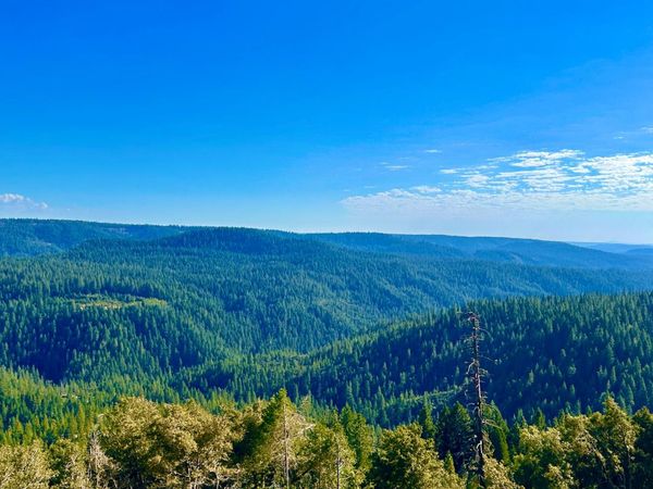 15426 Bluff View Rd, Nevada City, CA 95959