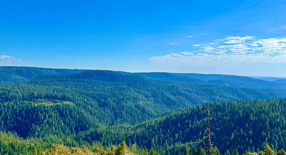 15426 Bluff View Rd, Nevada City, CA 95959 Photo