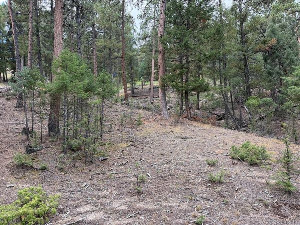 0000 Tobbogan Road , Pine, CO 80407