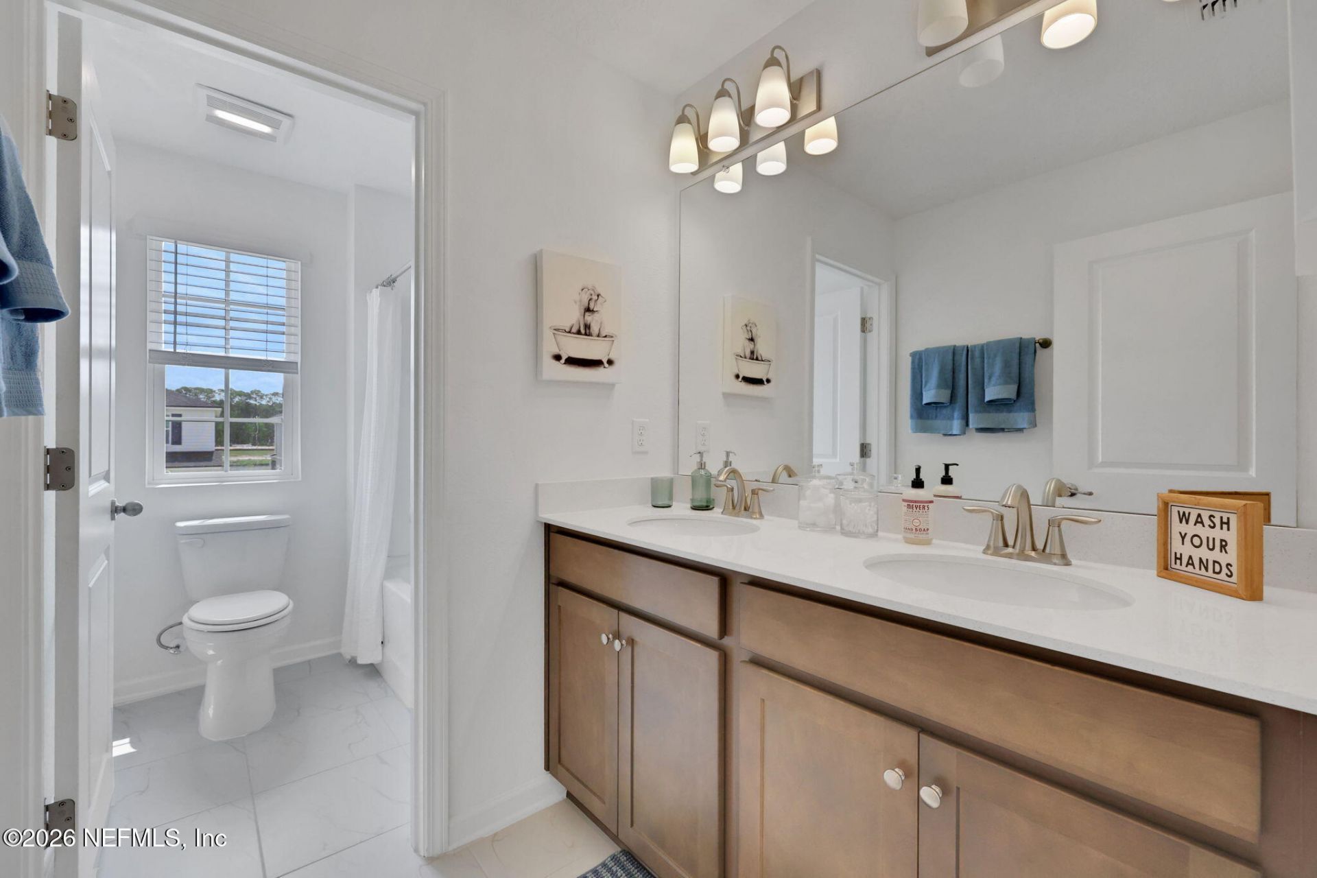 2515 Windsor Lakes Way, Green Cove Springs, FL 32043 Photo