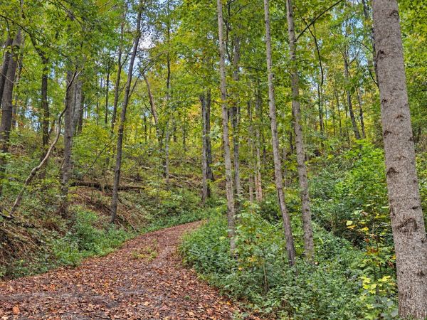 0 Harbor Dr , Unit 56, Lancaster, TN 38569