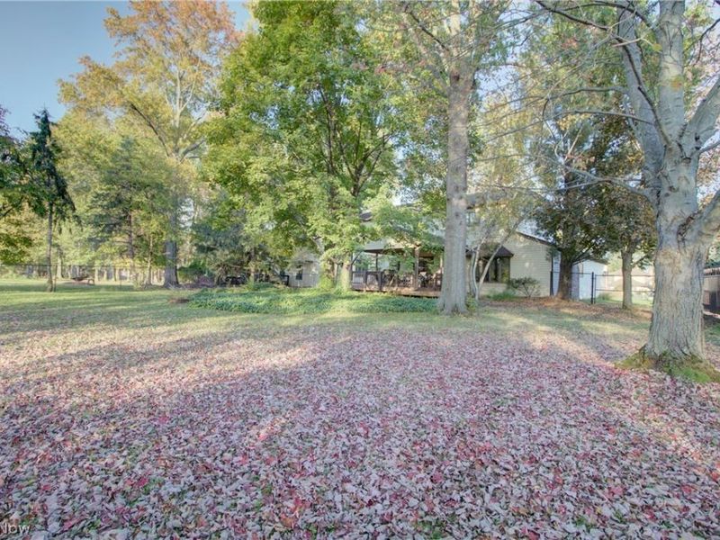 7170 Windwood Way, Olmsted Township, OH 44138 Photo 47