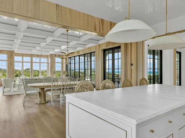 219 Walton Magnolia Lane, Inlet Beach, FL 32461