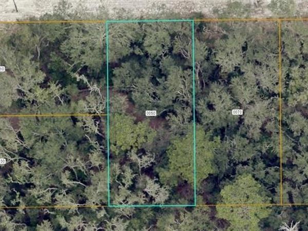 7032-04-06-0050 Highlands AVE , ORANGE CITY, FL 32763