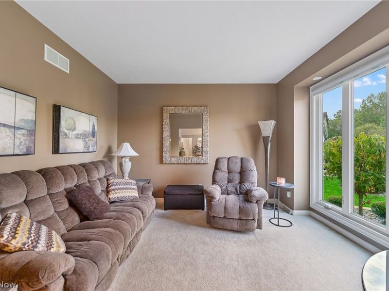 1458 Tori Pines Court, Canfield, OH 44406 Photo 27