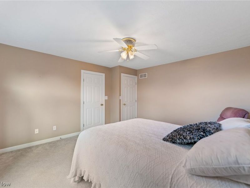 1458 Tori Pines Court, Canfield, OH 44406 Photo 29