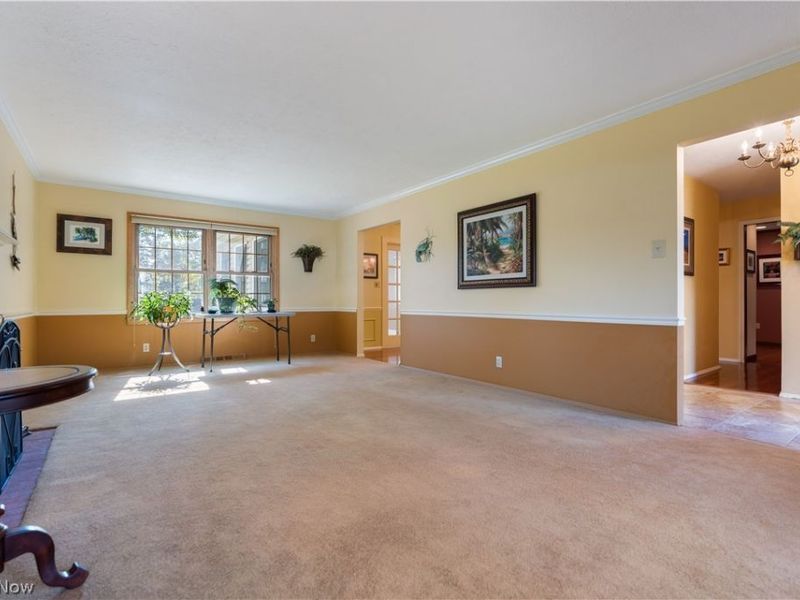 135 E Case Drive, Hudson, OH 44236 Photo 16