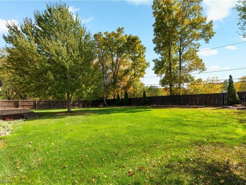 135 E Case Drive, Hudson, OH 44236 Photo 41