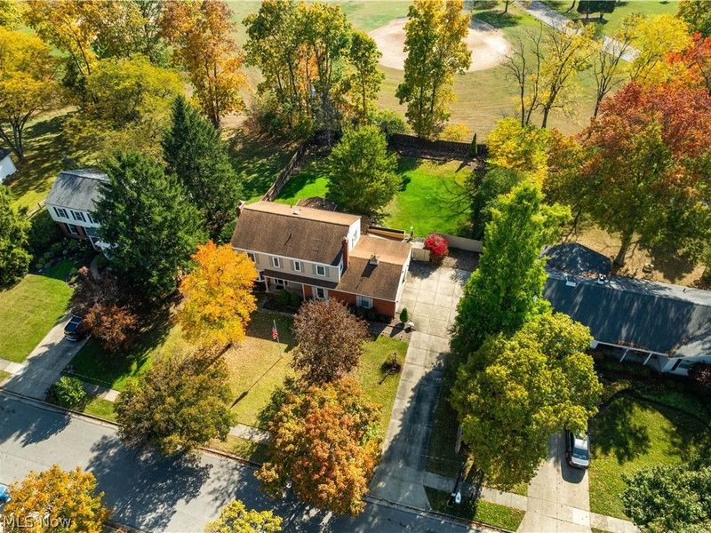 135 E Case Drive, Hudson, OH 44236 Photo 45