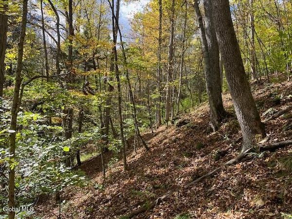 140 Stonewall Path, Gilboa, NY 12076