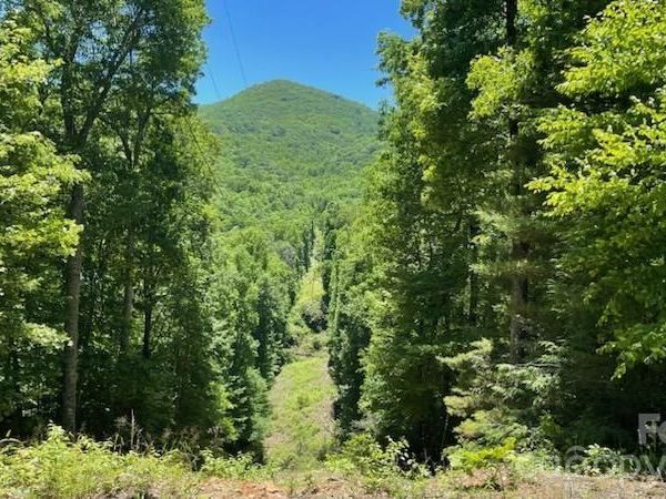 1629 White Rock Road , Cullowhee, NC 28723