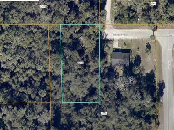 811 W lISBON PKWY , DE LAND, FL 32720