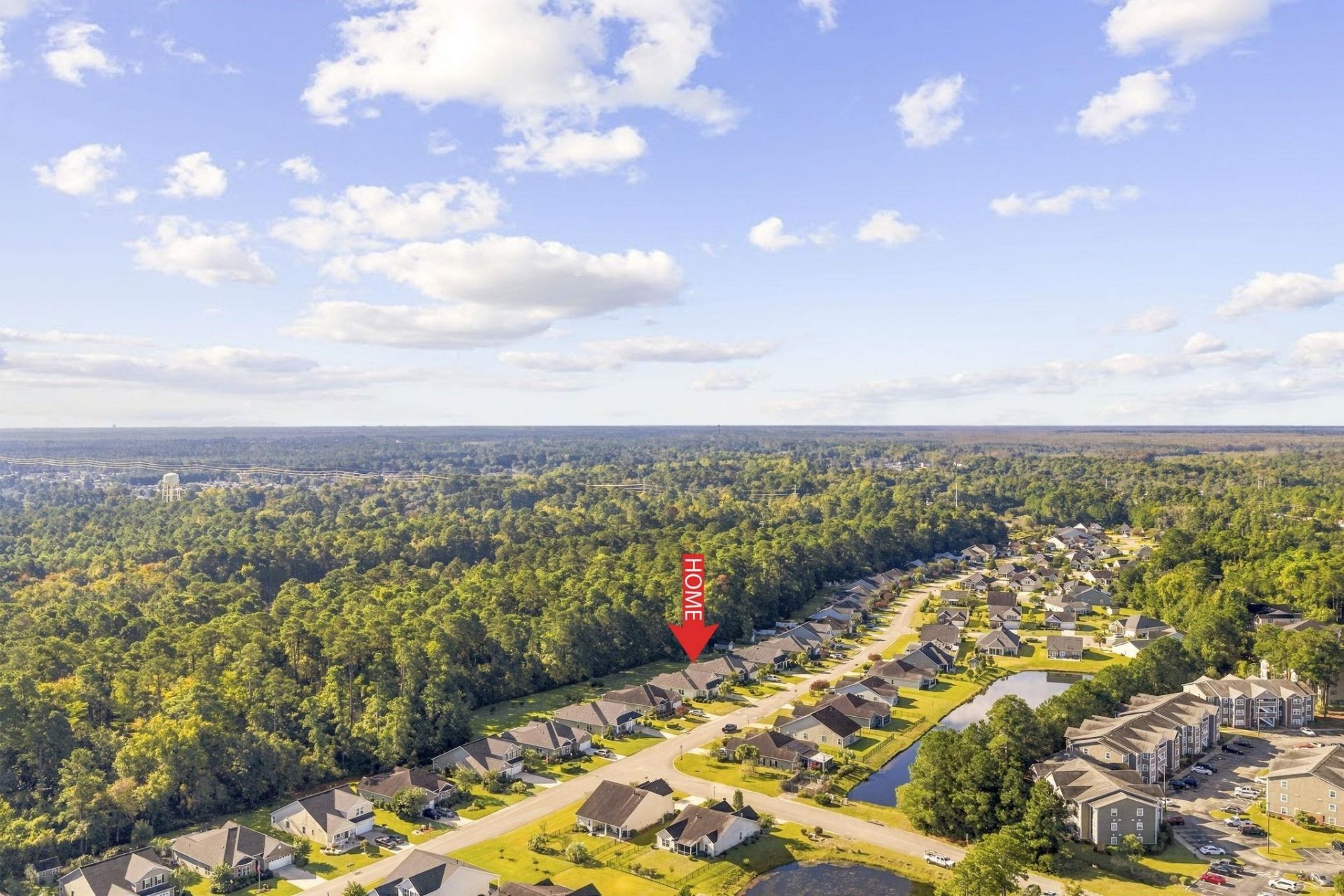 277 Ridge Point Dr. Photo 49