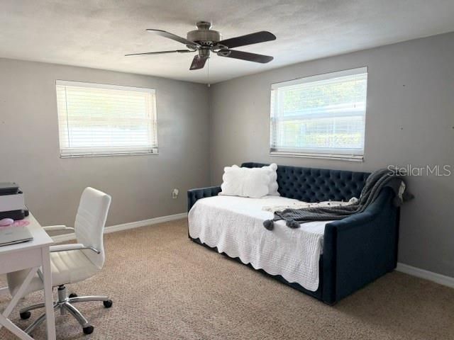 7910 Ilex Drive, Port Richey, FL 34668 Photo