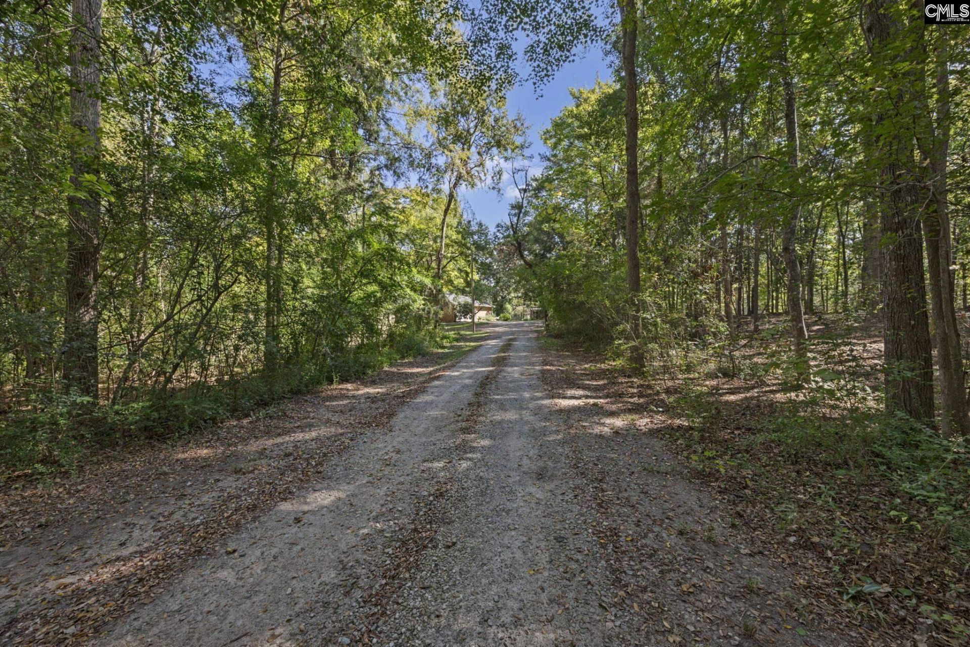 1113 Three Dog Road Photo 41