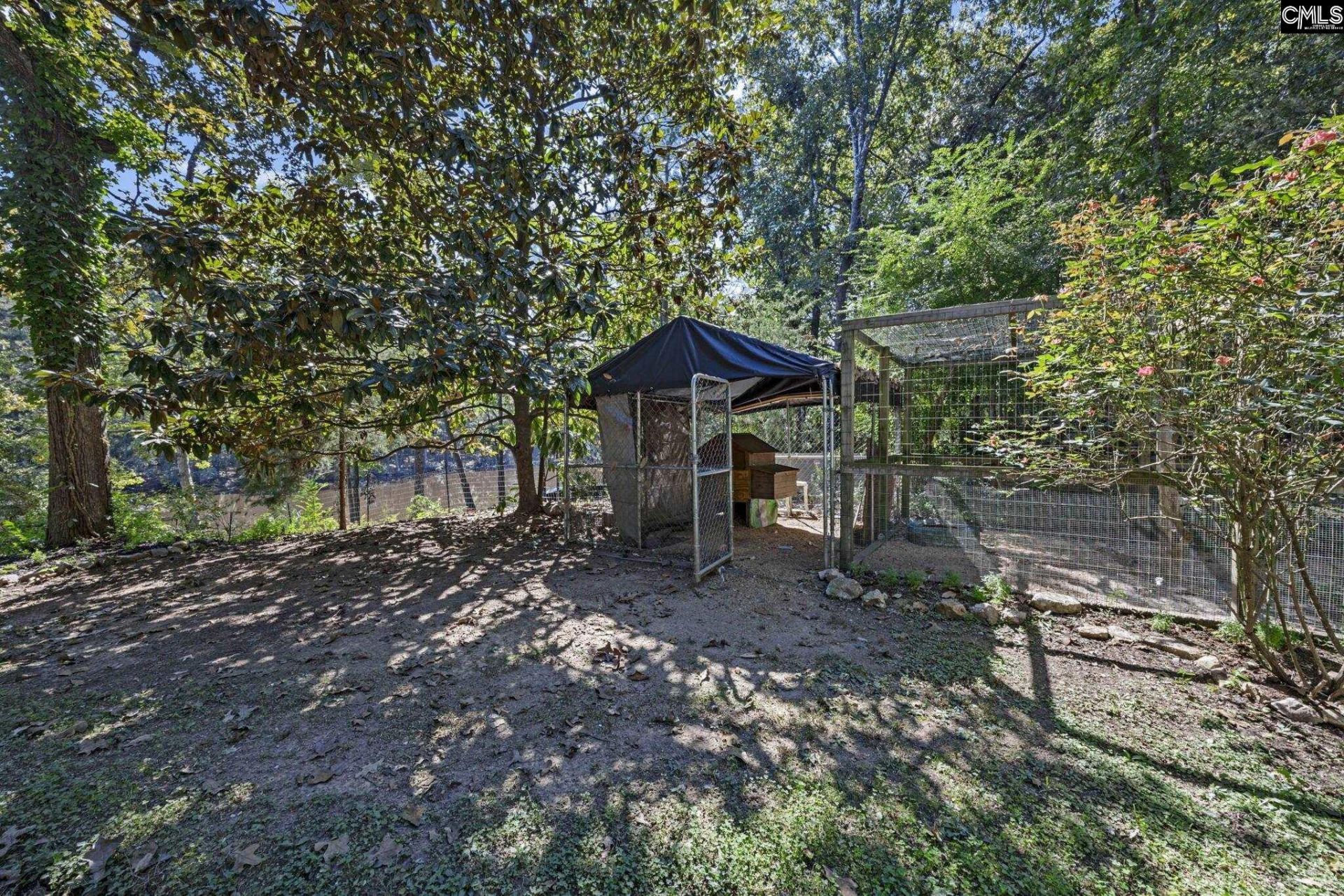 1113 Three Dog Road Photo 43